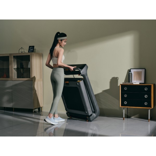 Фото - Беговая дорожка KingSmith WalkingPad Treadmill X218